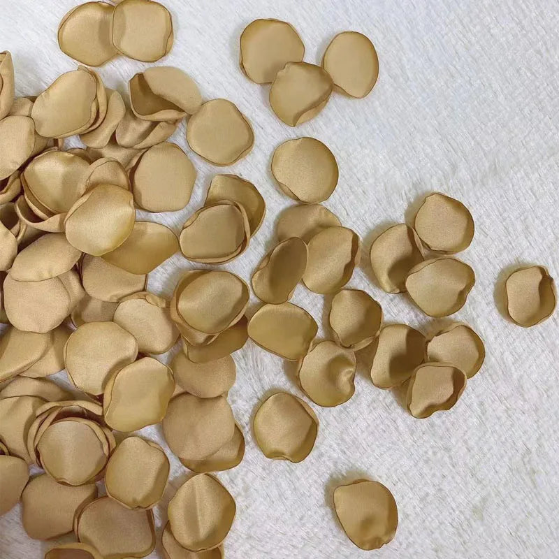 Pétale de rose - Rose